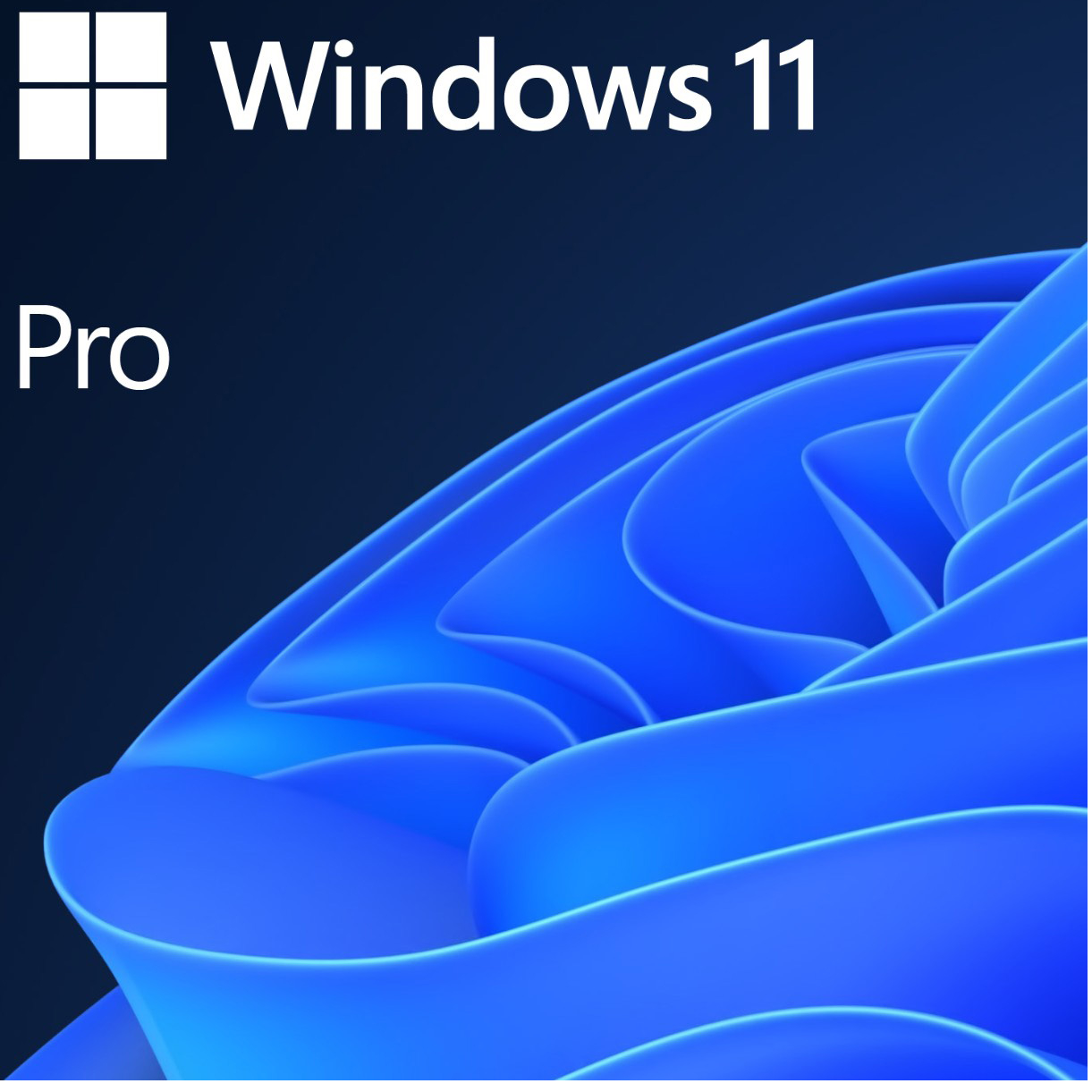 Microsoft Windows 11 Pro, 64 bit, Engleza, OEM, DVD